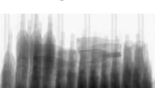 In Sight Bottles 20210311